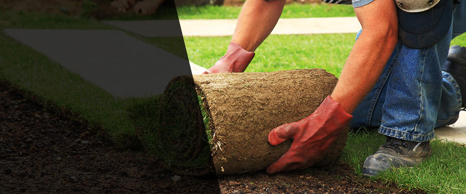 Old Lyme Landscapers